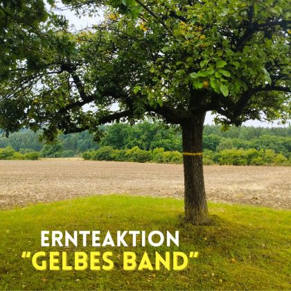 Apfelbaum mit gelbem Band