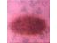 'Lichtung. Rot Barock', 2016, Acryl auf Leinwand, 40 x 40 cm, 300 € 