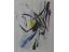 'o.T. I', Farblithographie, 51 x 41 cm, 150 €