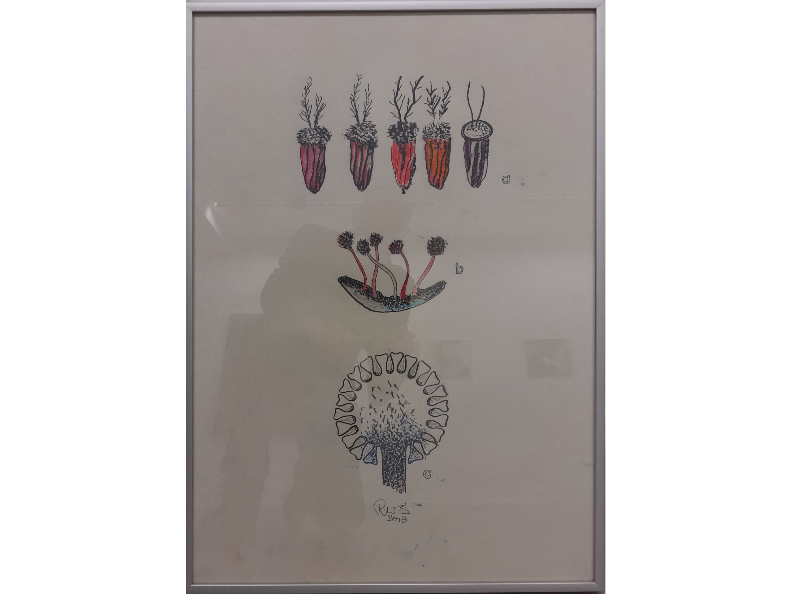 &#039;Prae-coronar&#039;, 2018, Tusche, Buntstift auf Papier, 60 x 42 cm, 100 € 