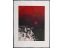 'Ich zündete den Blutmond an', 2021, Radierung / Aquatinta, 66 x 50 cm, 500 €