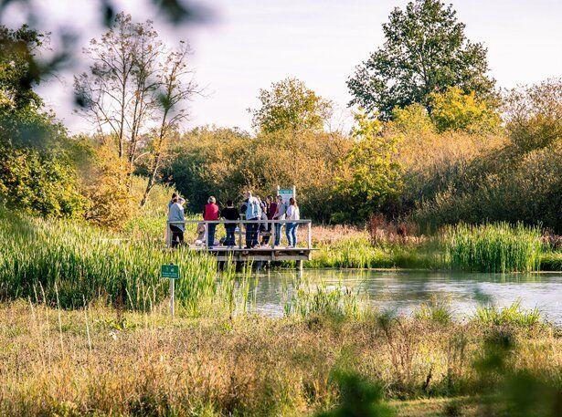 Erwachsene beim kleinen Steg im NaturThemenPark