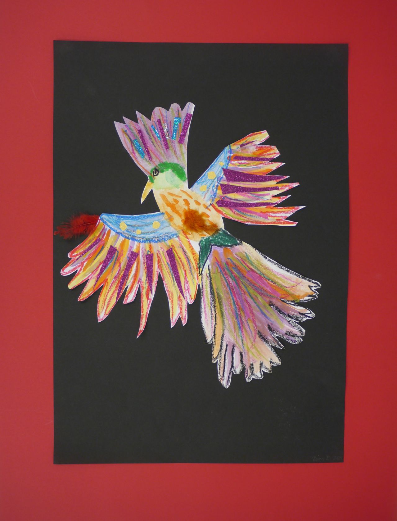 Bild Paradiesvogel