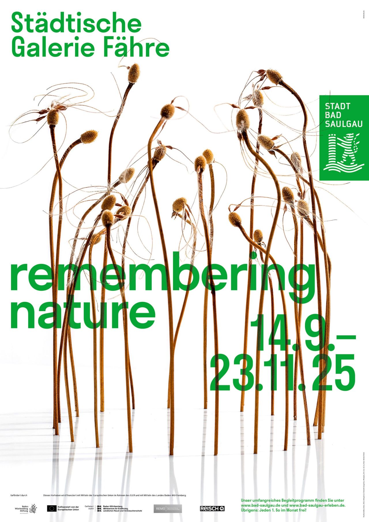 REMEMBERING NATURE