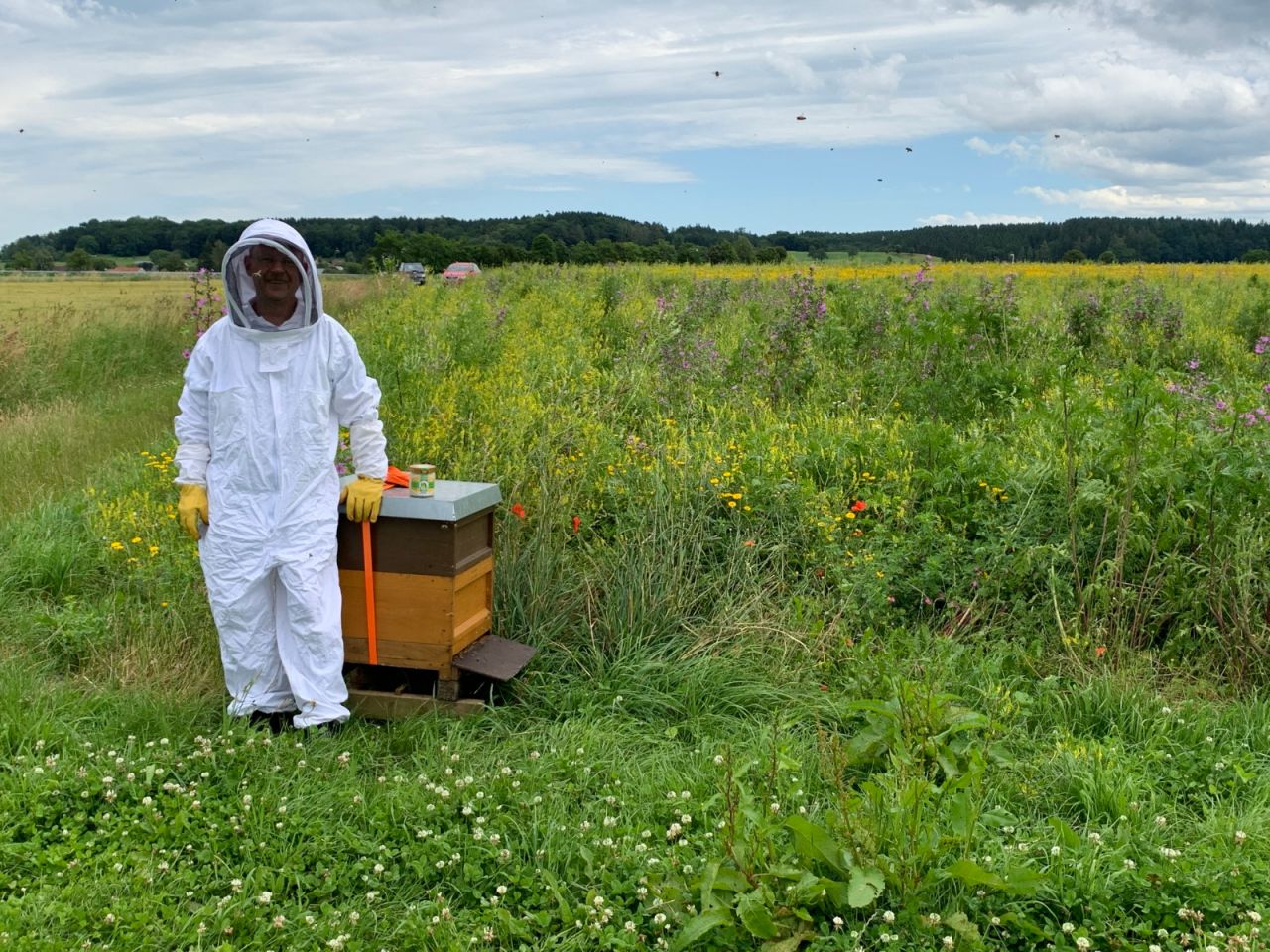 Karl Hillebrand sorgt für Honig aus dem Wasserschutzgebiet Mannsgrab
